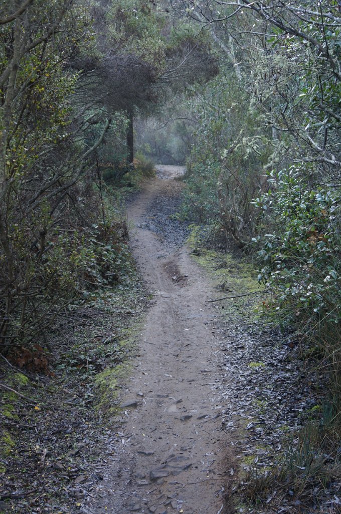 DSC00116