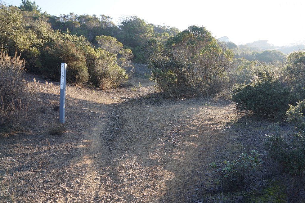 DSC00120