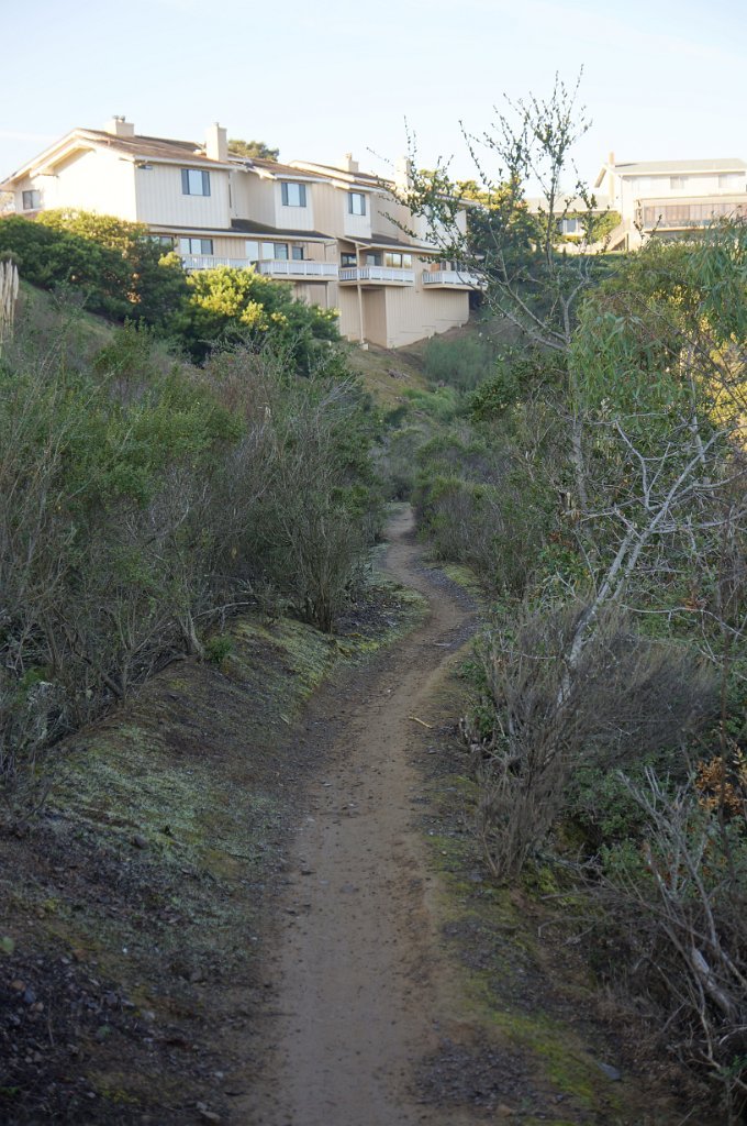 DSC00136