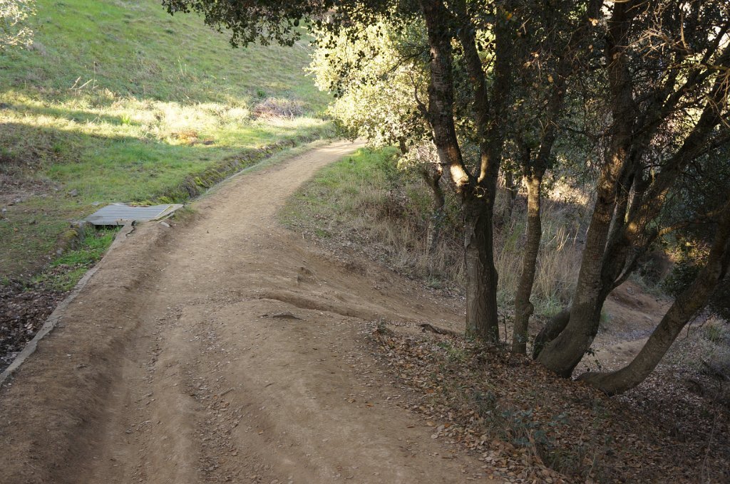 DSC00146