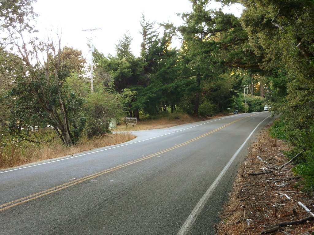 P1030312