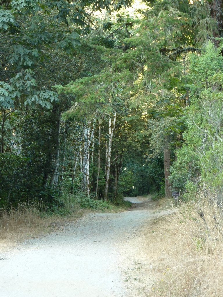 P1030314