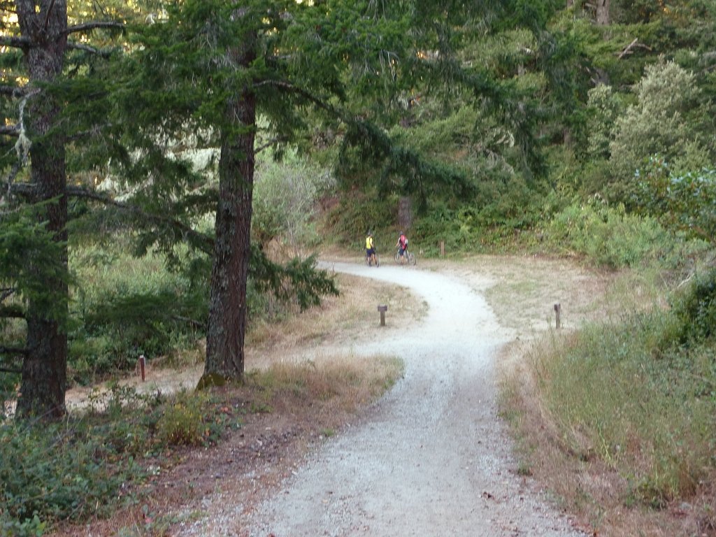 P1030317