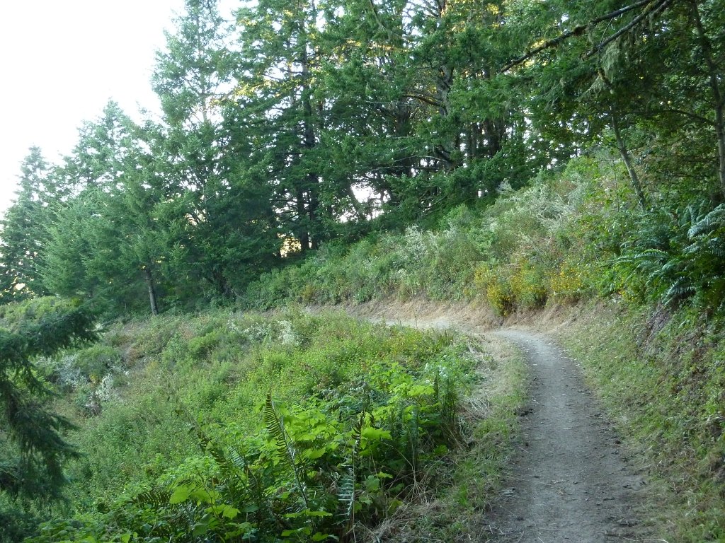 P1030323