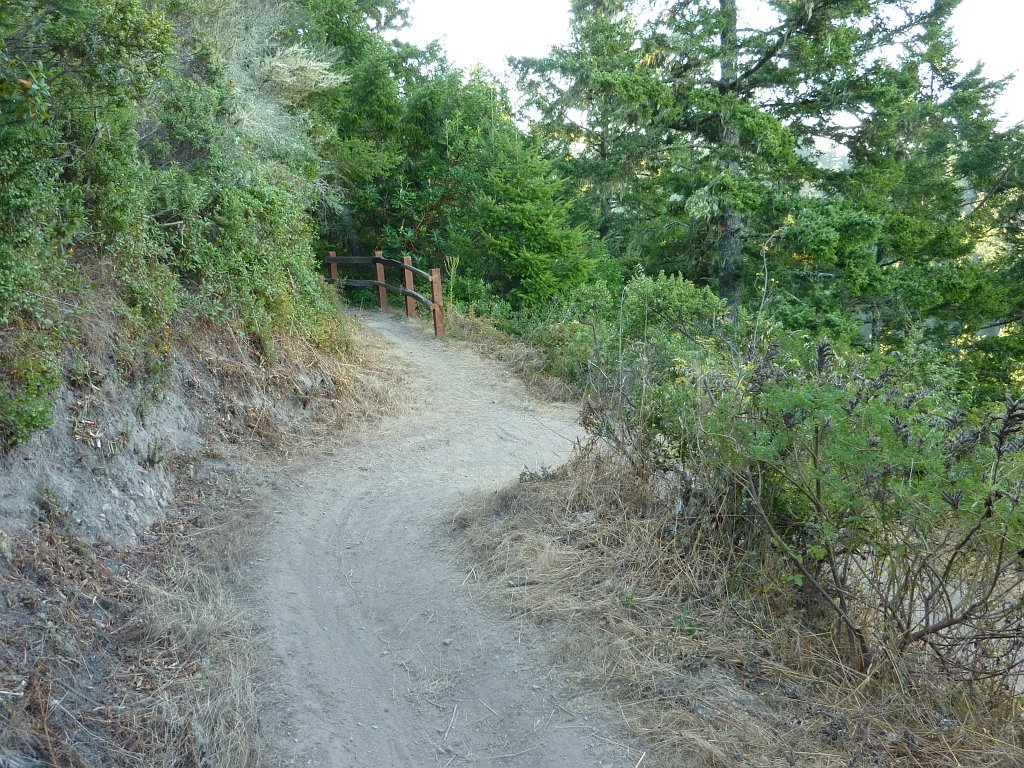 P1030328