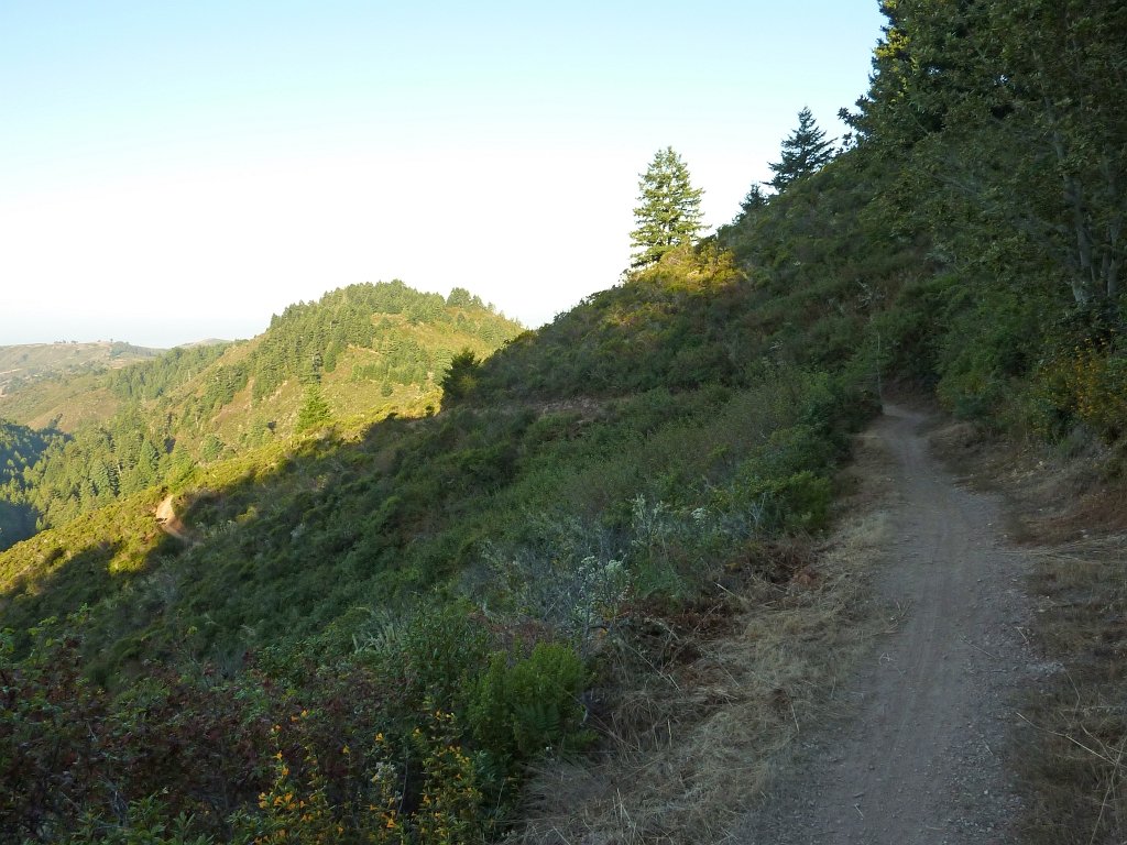 P1030331