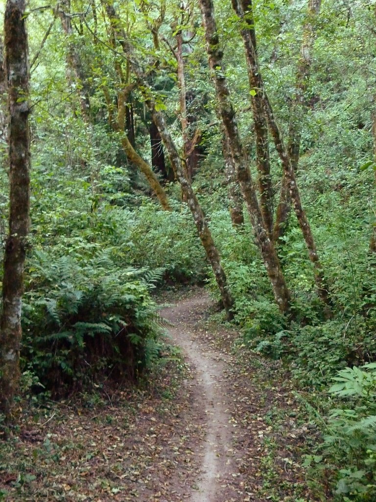 P1030346