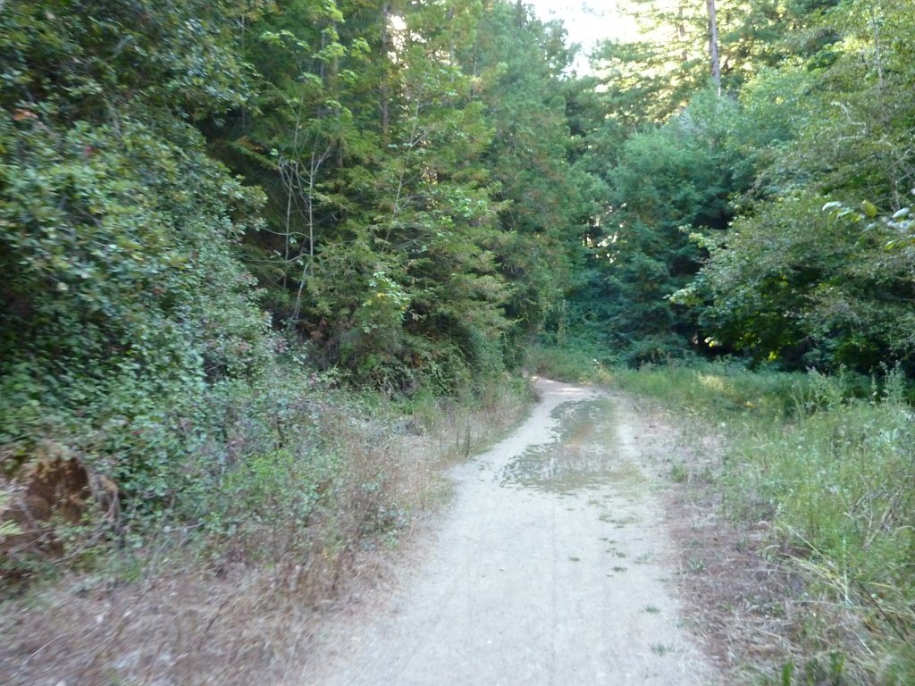 P1030371