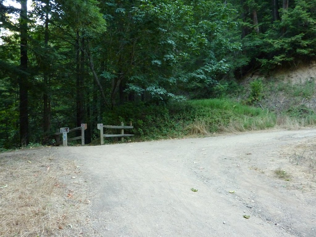P1030374