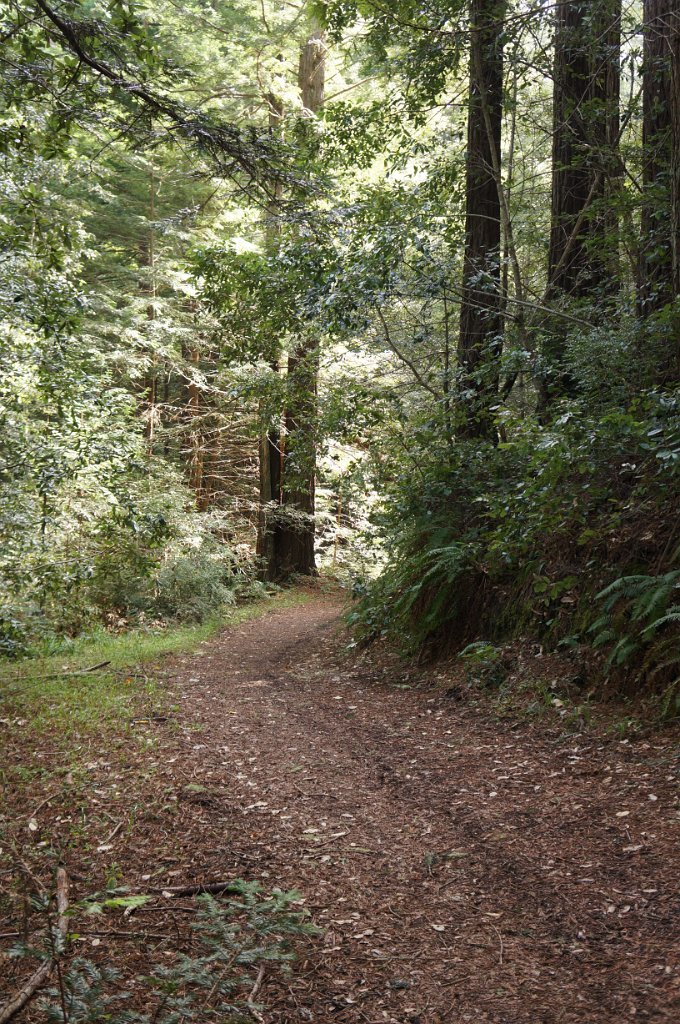 DSC00993