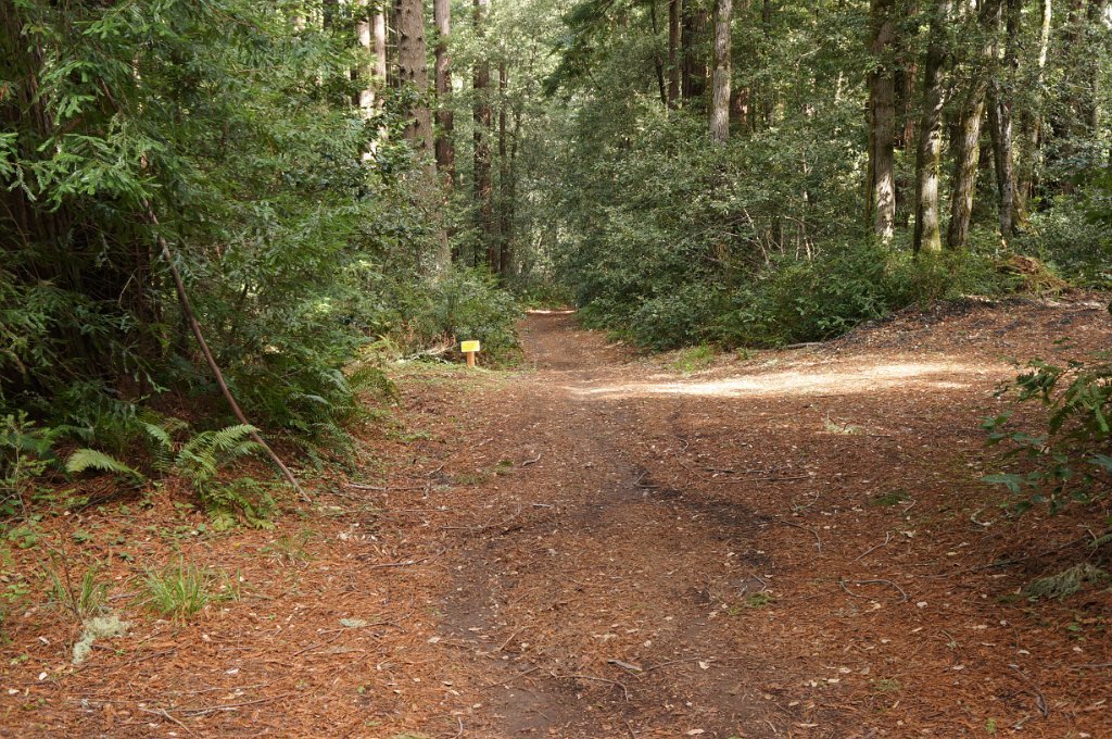 DSC00995