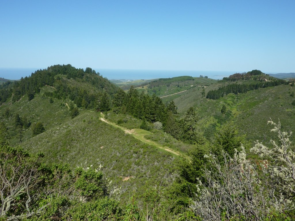 P1000121