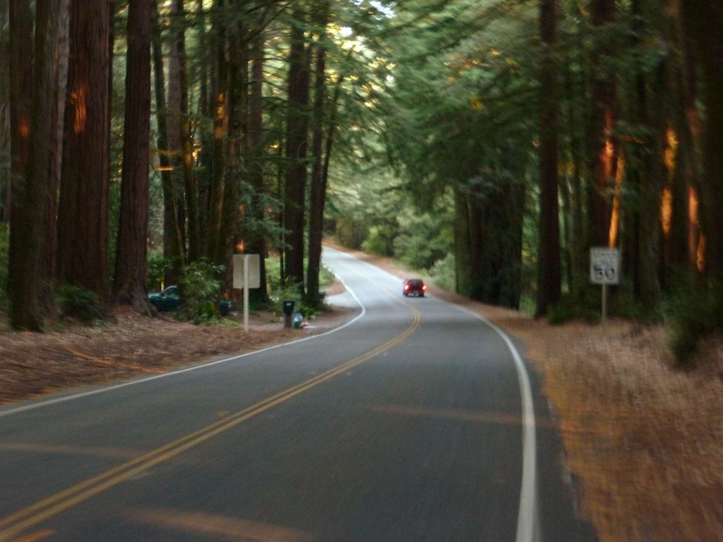 P1030308
