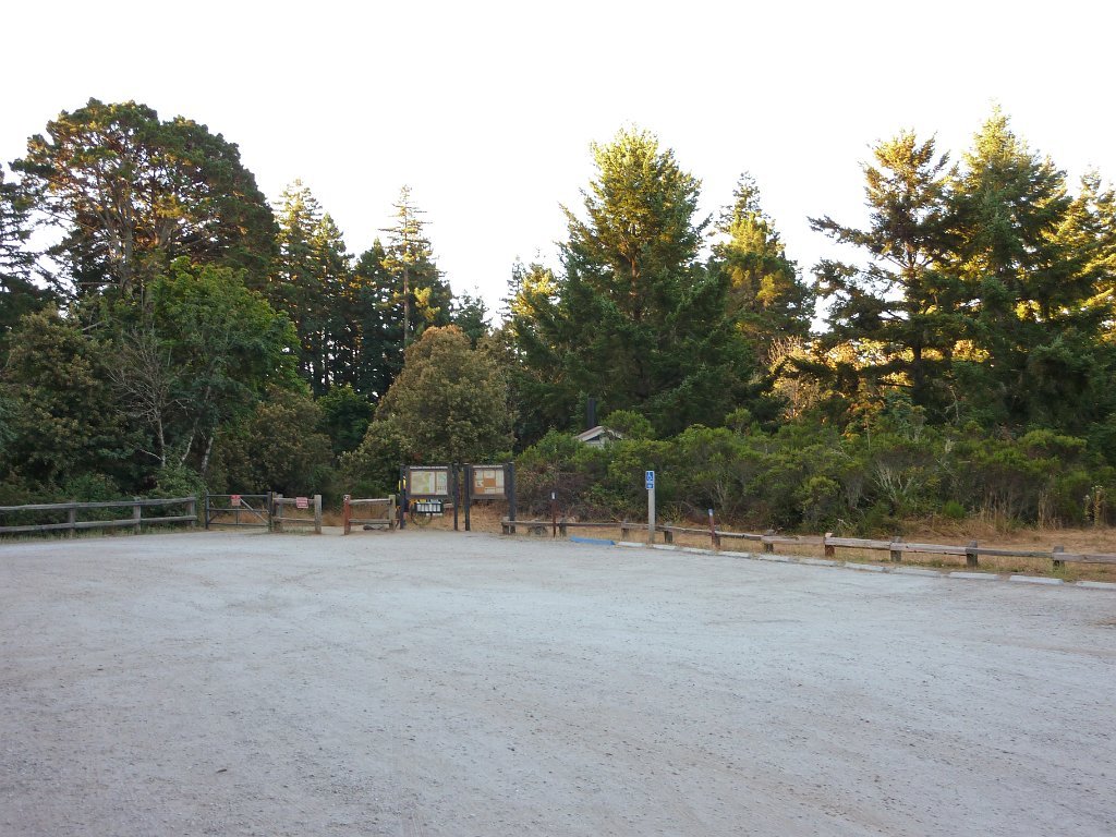 P1030313