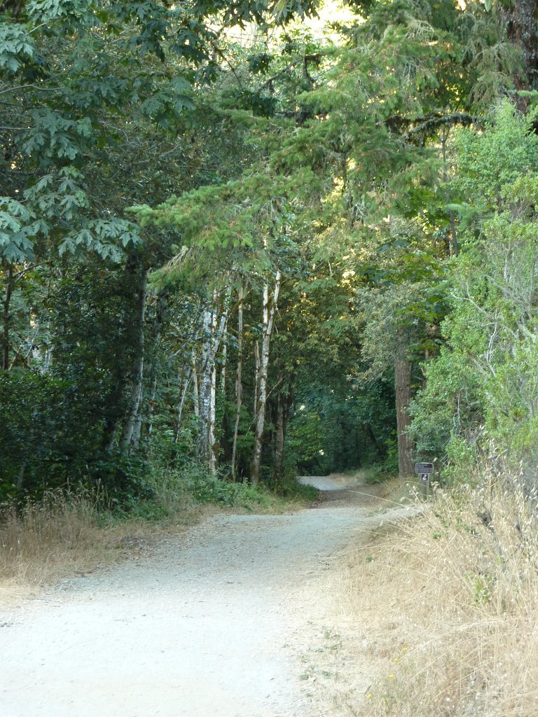 P1030314