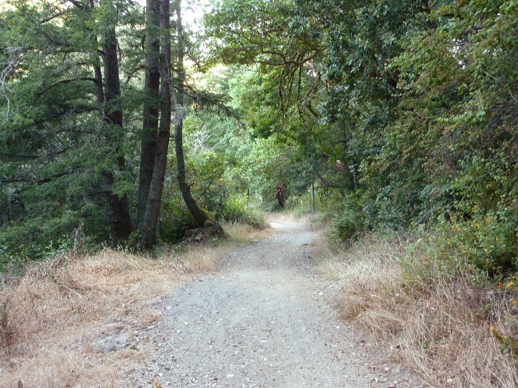 P1030315