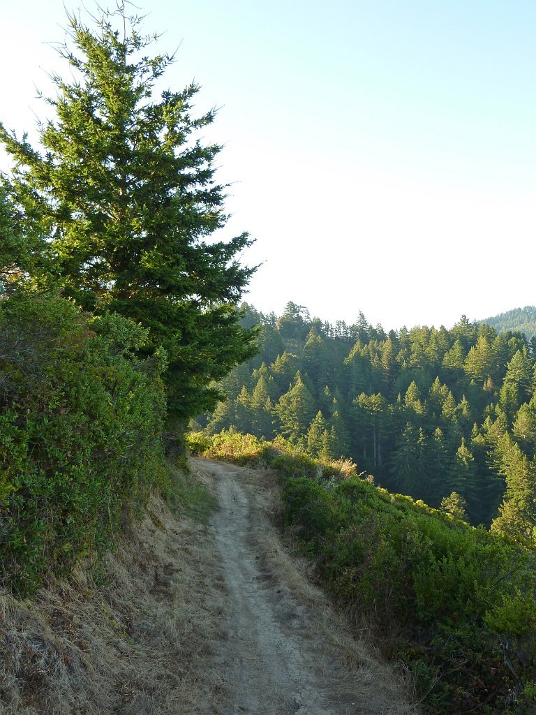 P1030335