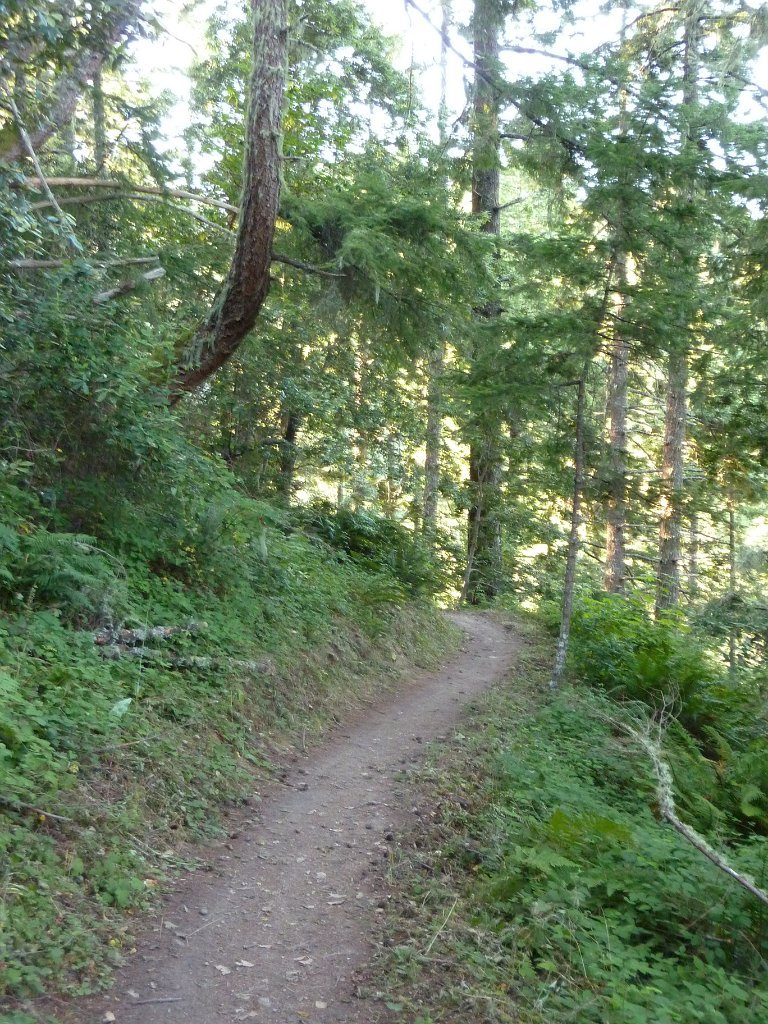 P1030338