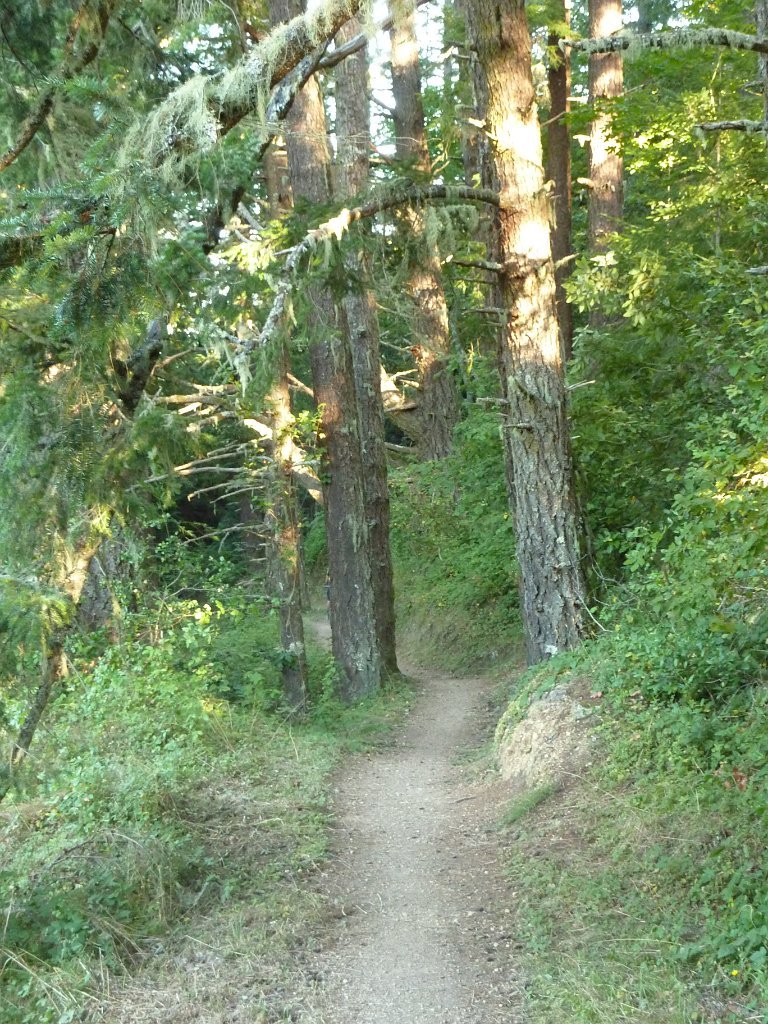 P1030339