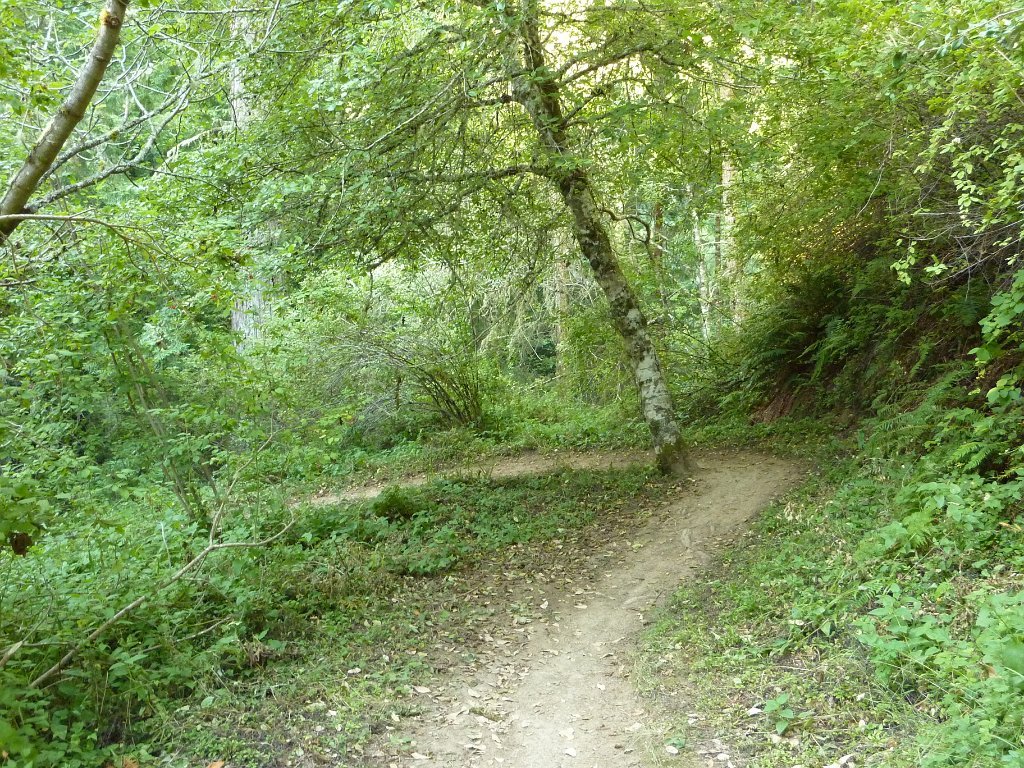 P1030345