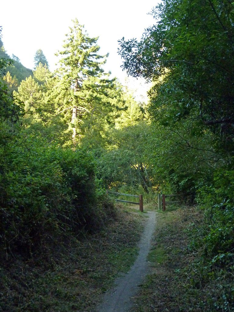 P1030351