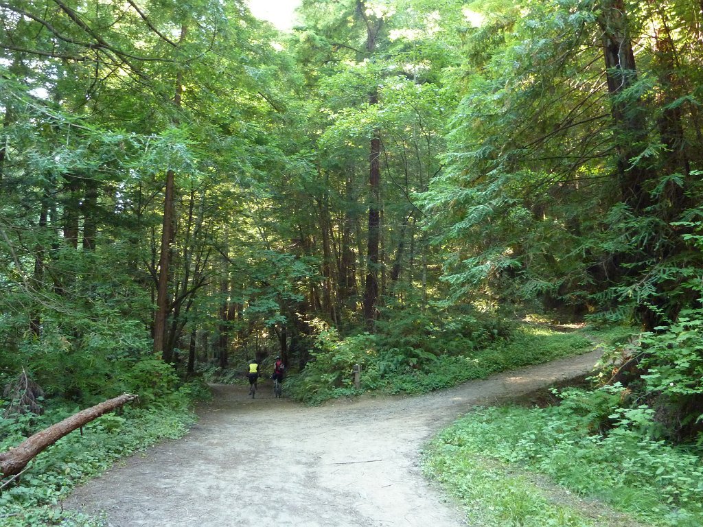 P1030366