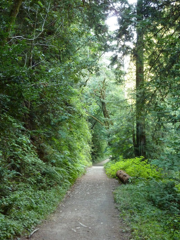 P1030373