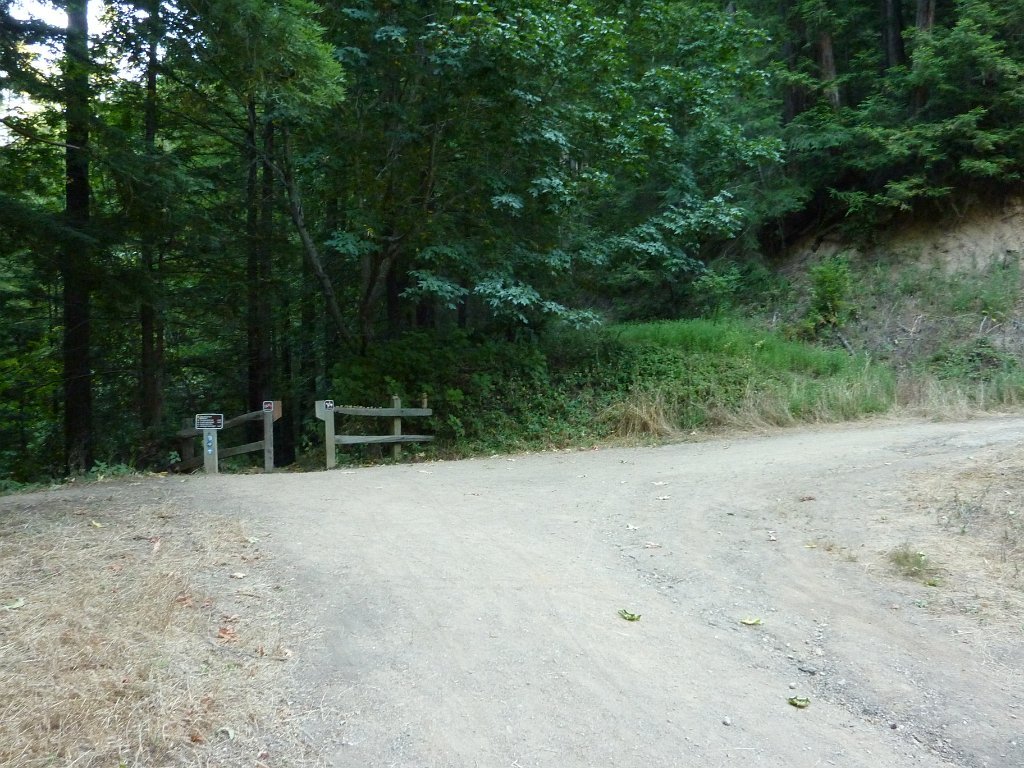 P1030374