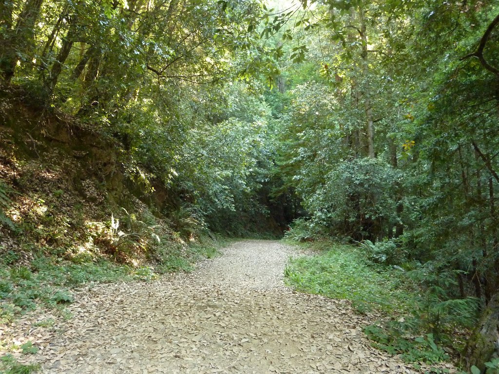 P1030375