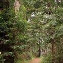 DSC00977
