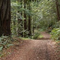 DSC00980
