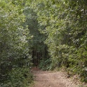 DSC00986