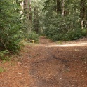 DSC00995