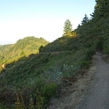 P1030331