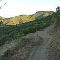 P1030333