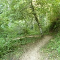 P1030345