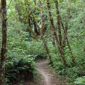 P1030346