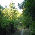 P1030351