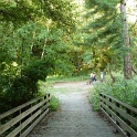 P1030354