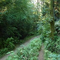 P1030369