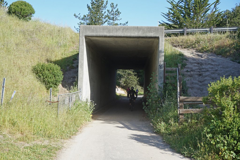 aDSC02346