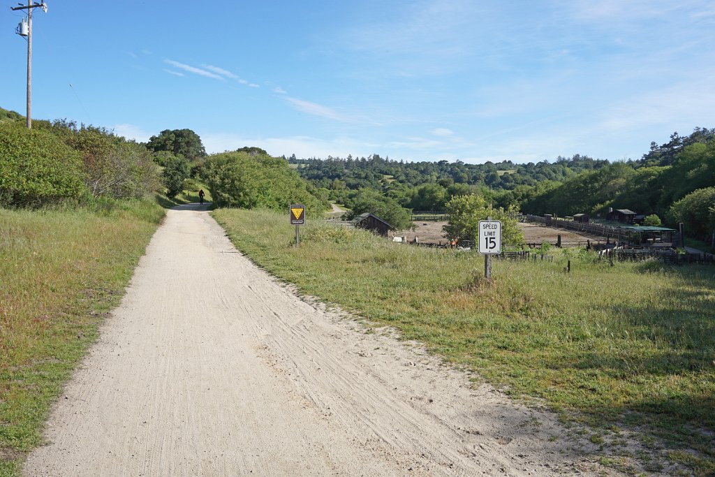 aDSC02347