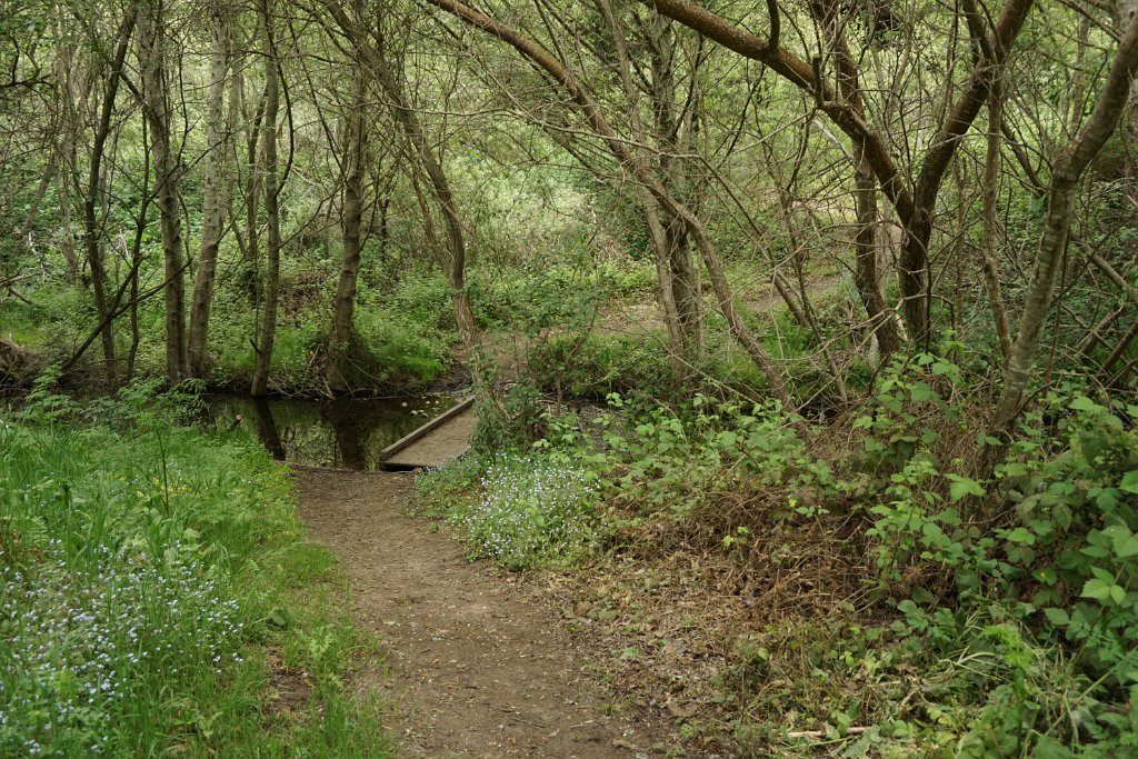 bDSC08591