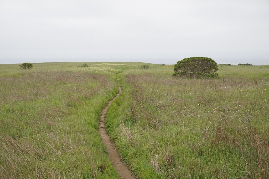 bDSC08604