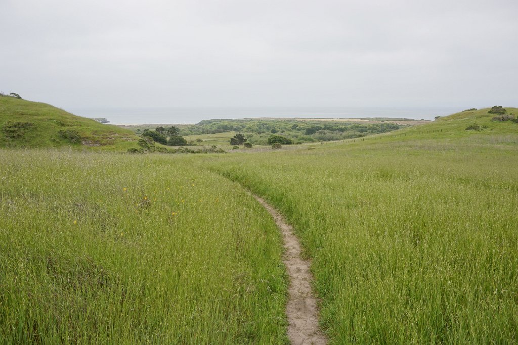 bDSC08607