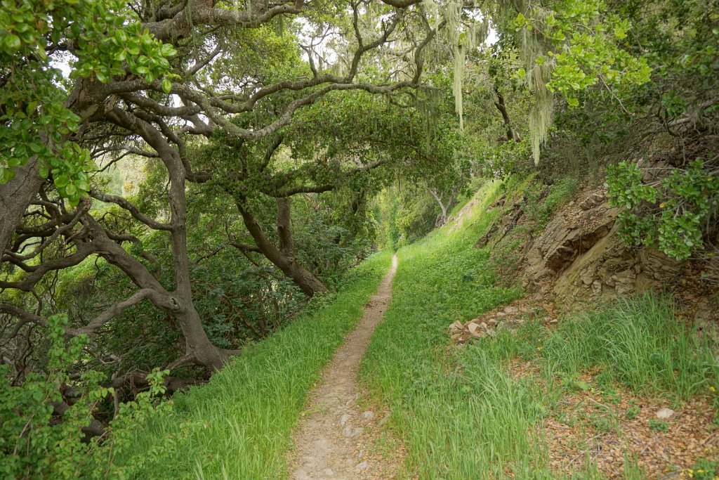 bDSC08609