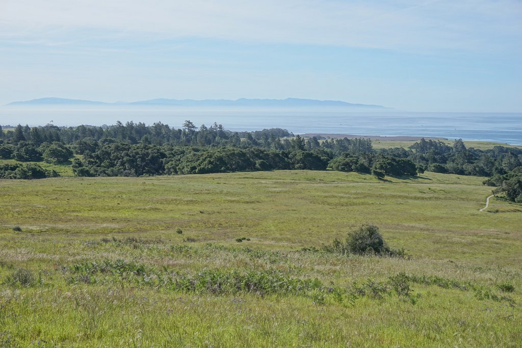 cDSC02370