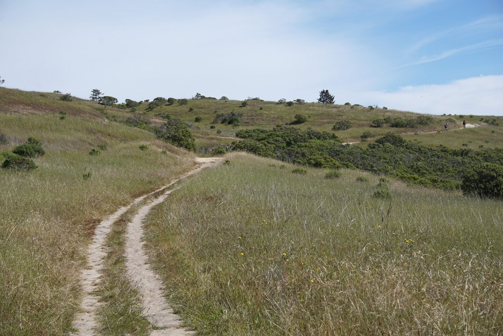 cDSC02464