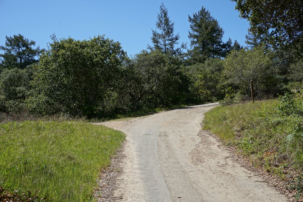 eDSC02502