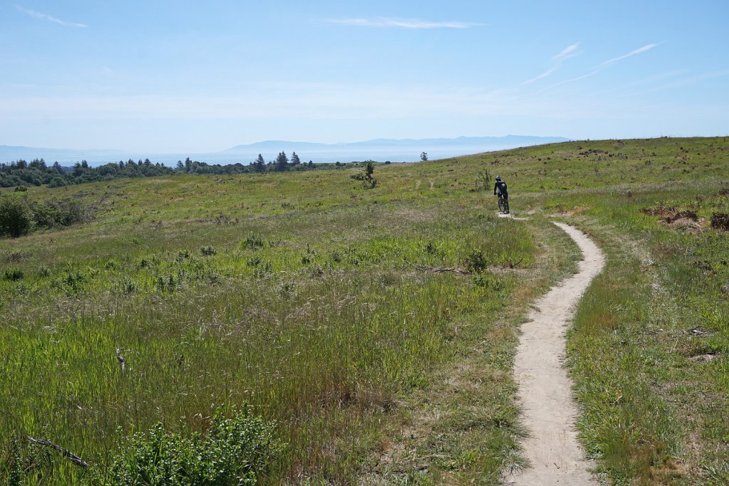 eDSC02505